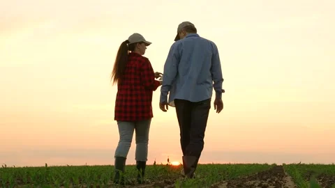 Two farmers work field sunset, work tablet agriculture, hand sun farming farm Stock Footage 244309582