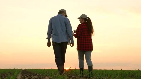 Two farmers work field sunset, work tablet agriculture, hand sun farming farm Stock Footage 246947288