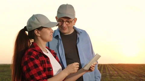 Two farmers working tablets, field group conversations, group transactional Stock Footage 244551610