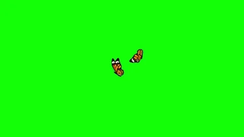 Two fast yellow Butterfly flying dancing circle around 動画素材 75829363