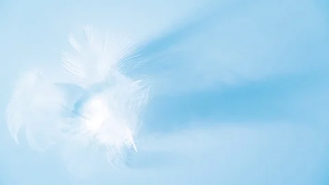 Two feathers down moving slowly in a soft light - decorative blue animation Stock Footage 76004367