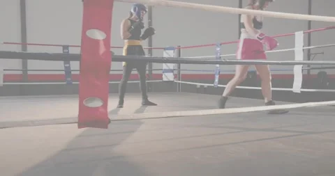 Two female boxers stepping in ring, sparring with light punches on canvas, one Stock Footage 334307614