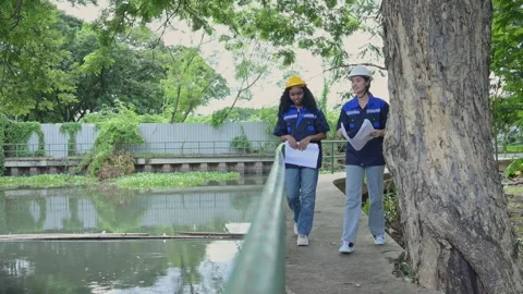 Two female engineers working on construction site with blueprints Stock Footage 252422311