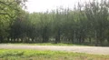 Two female friends enjoying summer vacation, riding bicycles in municipal park HD Footage