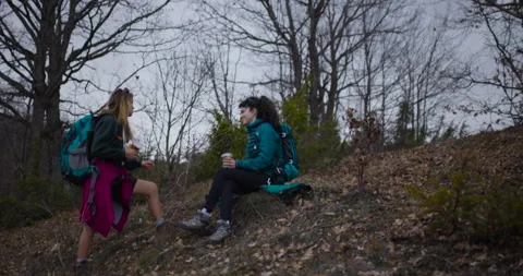 Two Female Friends Take a Break During Their Mountain Hike, Enjoying Hot Stock Footage 343013148