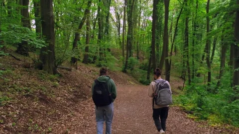 Two female hikers walk through the woods together. Stockbeeldmateriaal 244096853