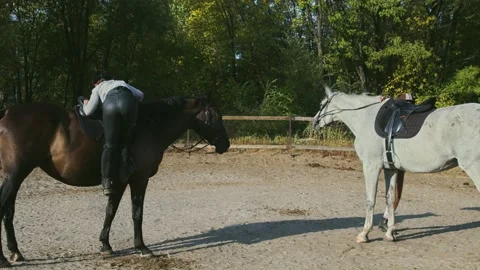 Two Female riders in riding clothes and helmets sits on their horses and rides Stock Footage 143552653
