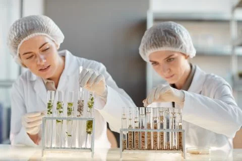 Two Female Scientists doing Experiments in Laboratory Foto stock