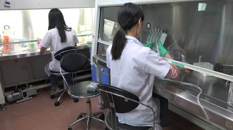 Two female scientists work in a small laboratory in a hospital China Stock Footage 67548280