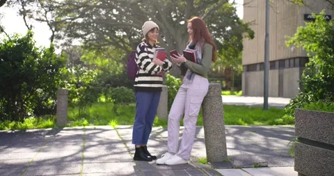 Two female students meeting while younger approaching, sharing phone and notes, Stock Footage 341089391