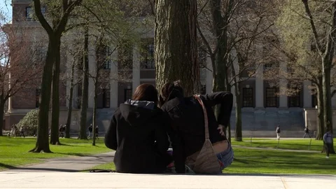 Two female students sitting looking at a laptop with historic building in Stock Footage 77378695