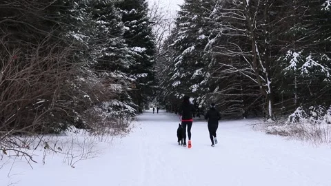 Two Females Running with Dog Winter Exercise Snow Covered Trees RT Motion Stock-Footage 145881663