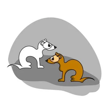 Two ferrets, set of two animals in flat style Stock Illustration