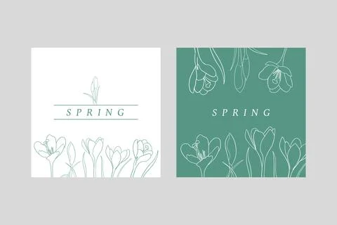 Two festive spring cards with crocuses. Invitation Stock Illustration