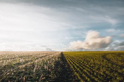 Two fields with moving clouds Stock Photos