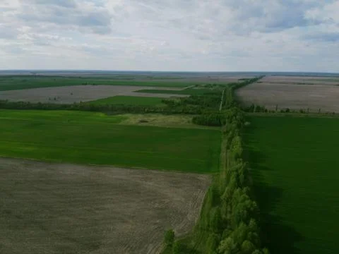 Two fields separated by a forest belt, aerial view. Agricultural landscape. Stock Photos