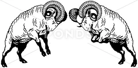 Two fighting rams black white Stock Illustration