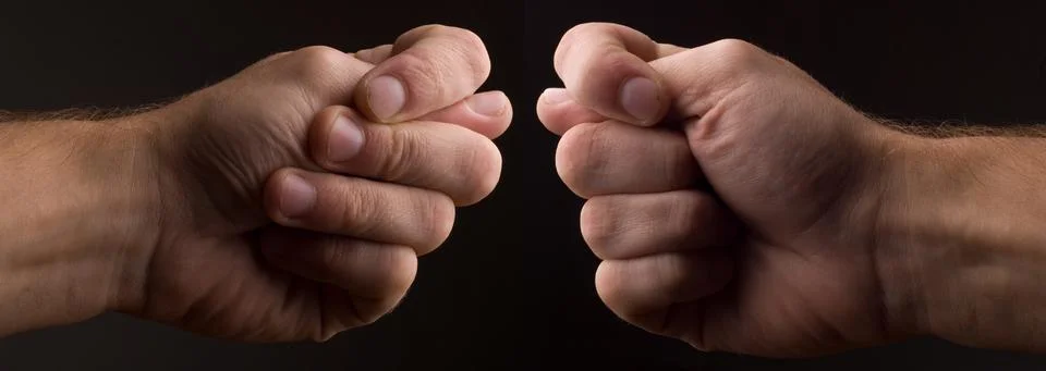 Two figs 스톡 사진