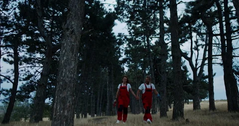 Two figures are walking together through a lush and serene forest landscape that Stock Footage 318280087