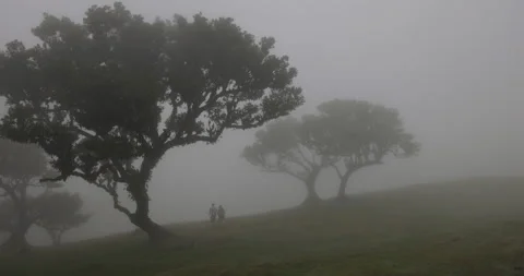 Two figures disappear in the fog, 4K accelerated pace Stock Footage 246408230