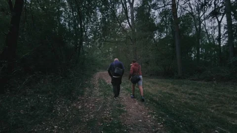 Two figures jog through a dim forest trail. Rigsby Woods, Lincolnshire, UK Stock Footage 346188360
