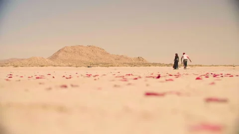 Two figures walk across a vast desert landscape under a soft sky Stock Footage 293116891