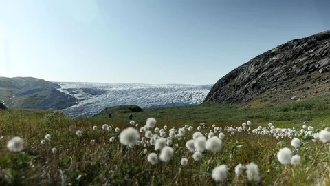 Two figures Walking Through Pasture to Glacier Stock Footage 74870654
