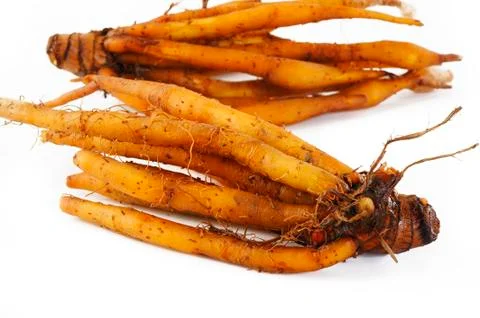 Two finger root on white background Stock Photos