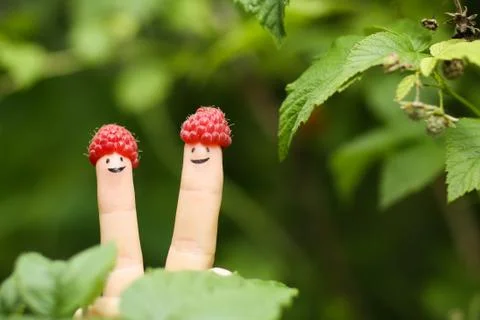 Two fingers with funny faces in raspberry hats on green bush background Stock Photos
