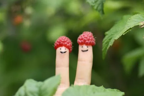 Two fingers with funny faces in raspberry hats on green bush background Stock Photos