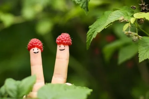 Two fingers with funny faces in raspberry hats on green bush background Stock Photos