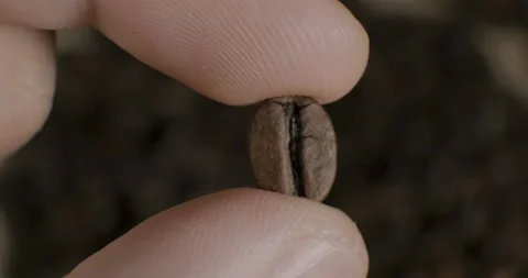 Two fingers rotating a coffee bean Vidéo 232257137