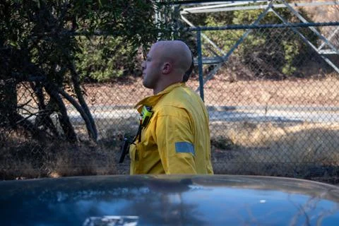 Two firefighter supervisors arrive at the scene of a brush fire. Foto stock