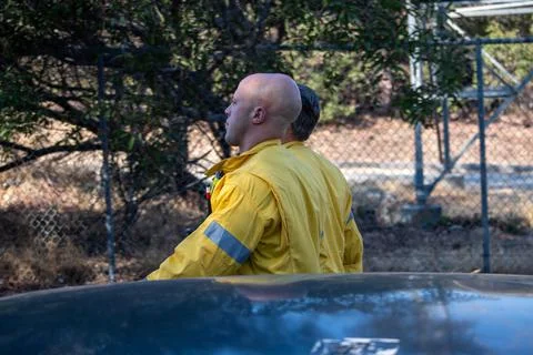 Two firefighter supervisors arrive at the scene of a brush fire. Stock-Fotos