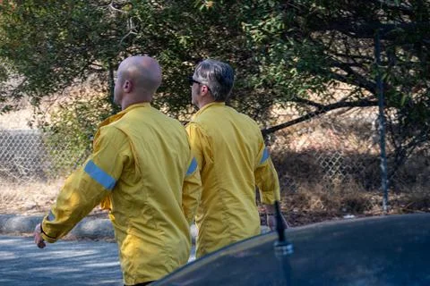 Two firefighter supervisors arrive at the scene of a brush fire. Foto stock