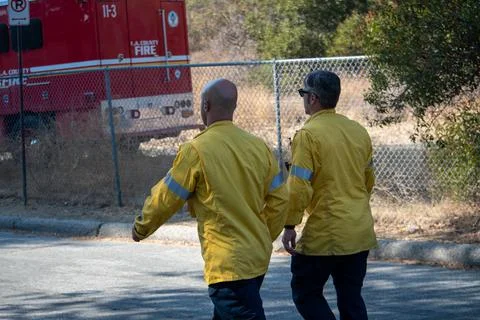 Two firefighter supervisors arrive at the scene of a brush fire. Foto stock
