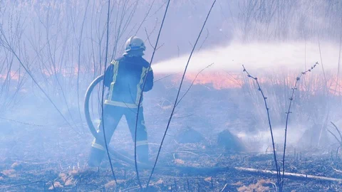 Two Firefighters in Equipment Extinguish Forest Fire with Fire Hose. Slow Motion Stock Footage 128402059