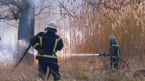 Two Firefighters in Equipment Extinguish Forest Fire with Fire Hose. Slow Motion Stock Footage 128403033