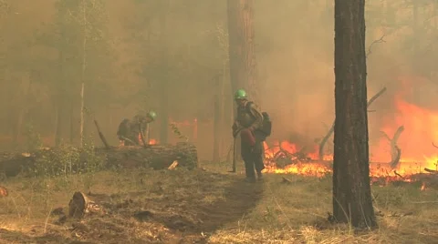 Two firefighters setting a backburn with smoke &amp; wind Stock Footage 40750566