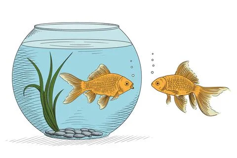 Two fish and an aquarium Stock Illustration