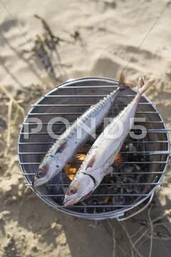 Two Fish Cooking Over Hot Coals