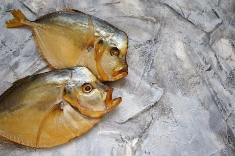 Two fish on a gray background Stock Photos