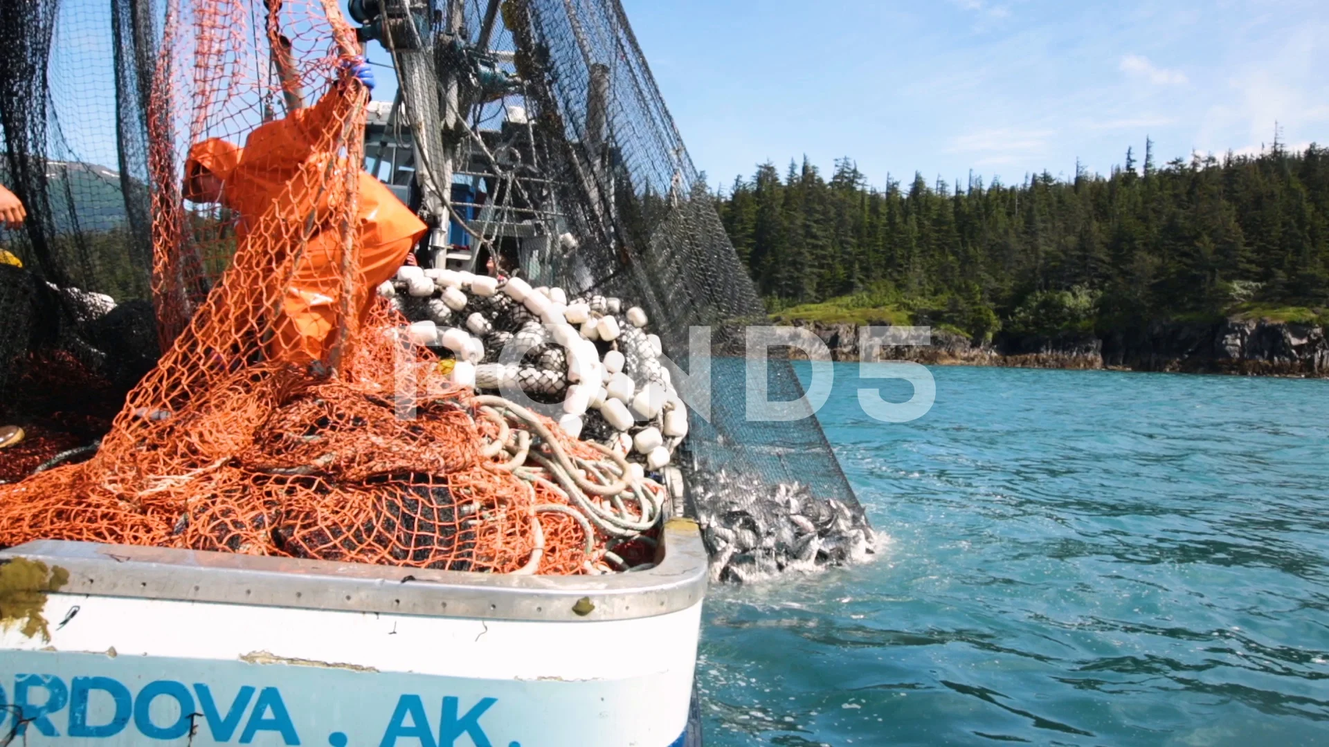 Two fisherman pulling the fishing net on, Stock Video