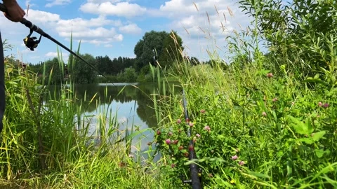 Two fishing rods catch fish in a pond near the house in summer Stock Footage 252721157