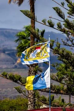 Two flags are flying on a pole in front of a tree Stock Photos