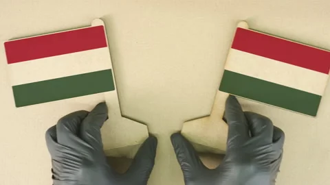 Two flags of Hungary made of recycled paper on the cardboard table Stock Footage 142801328