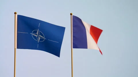 Two flags NATO and national flag of France waving against white backdrop Видео 244516089