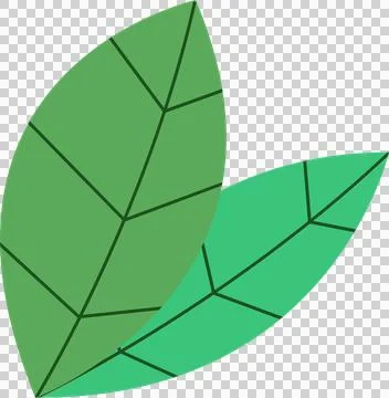Two flat-design leaves are overlapping on transparent background with geometric Stockillustratie