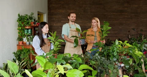 Two Florists Assisting Female Customer With Information On Flowers At Plant Stock Footage 274103527