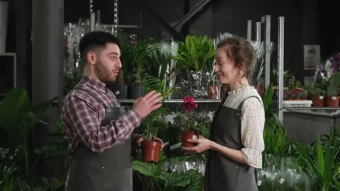 Two florists talking in a flower shop Vidéo 170875755